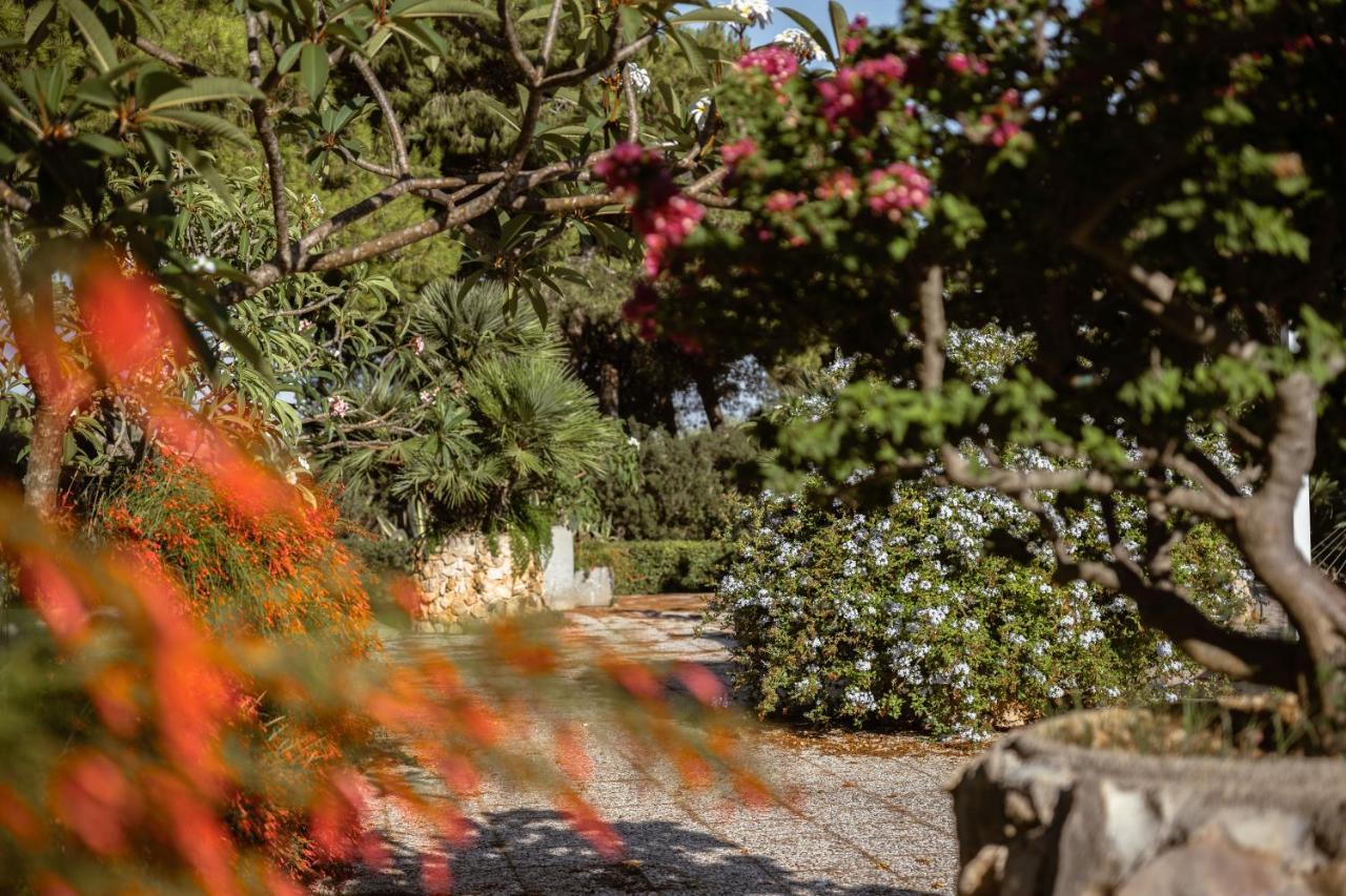 Giardino Dell'Impossibile Di Antonino Campo Lägenhet Favignana Exteriör bild