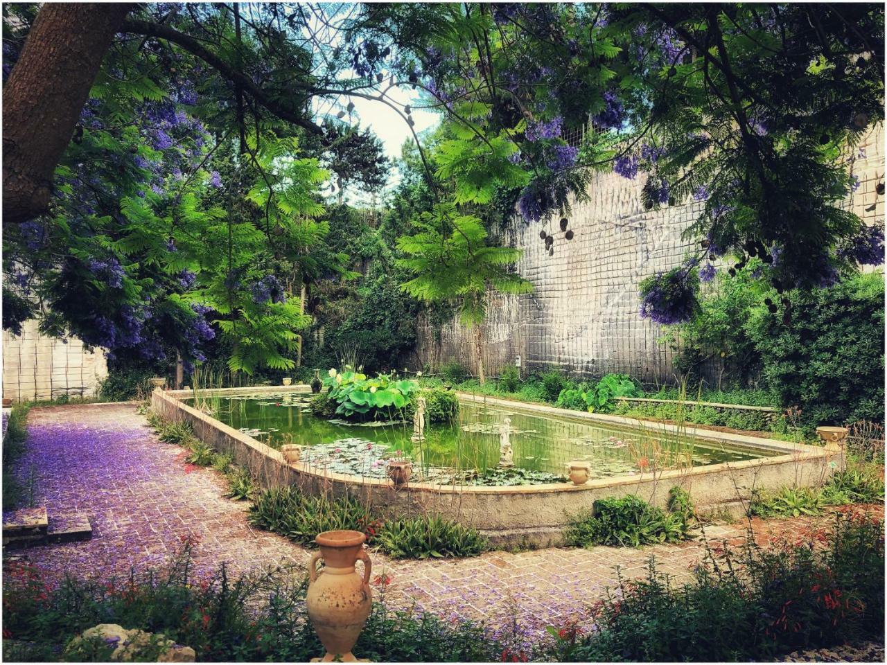 Giardino Dell'Impossibile Di Antonino Campo Lägenhet Favignana Exteriör bild