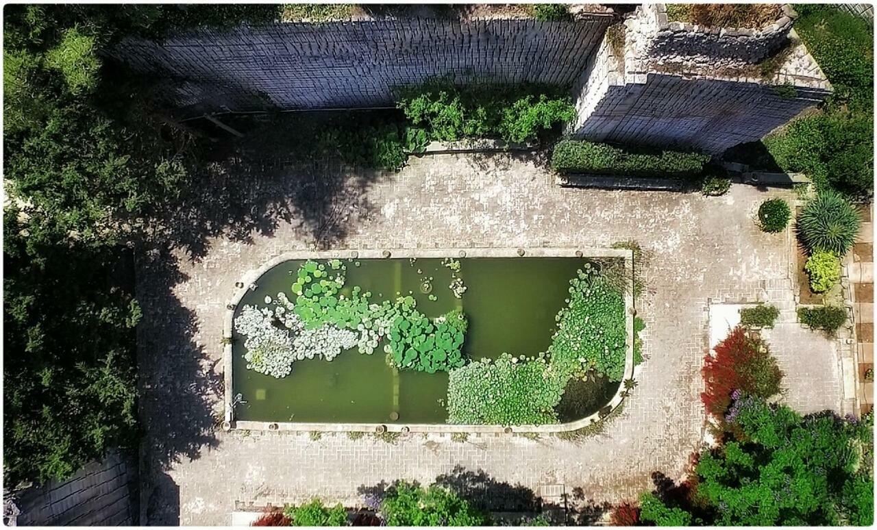 Giardino Dell'Impossibile Di Antonino Campo Lägenhet Favignana Exteriör bild